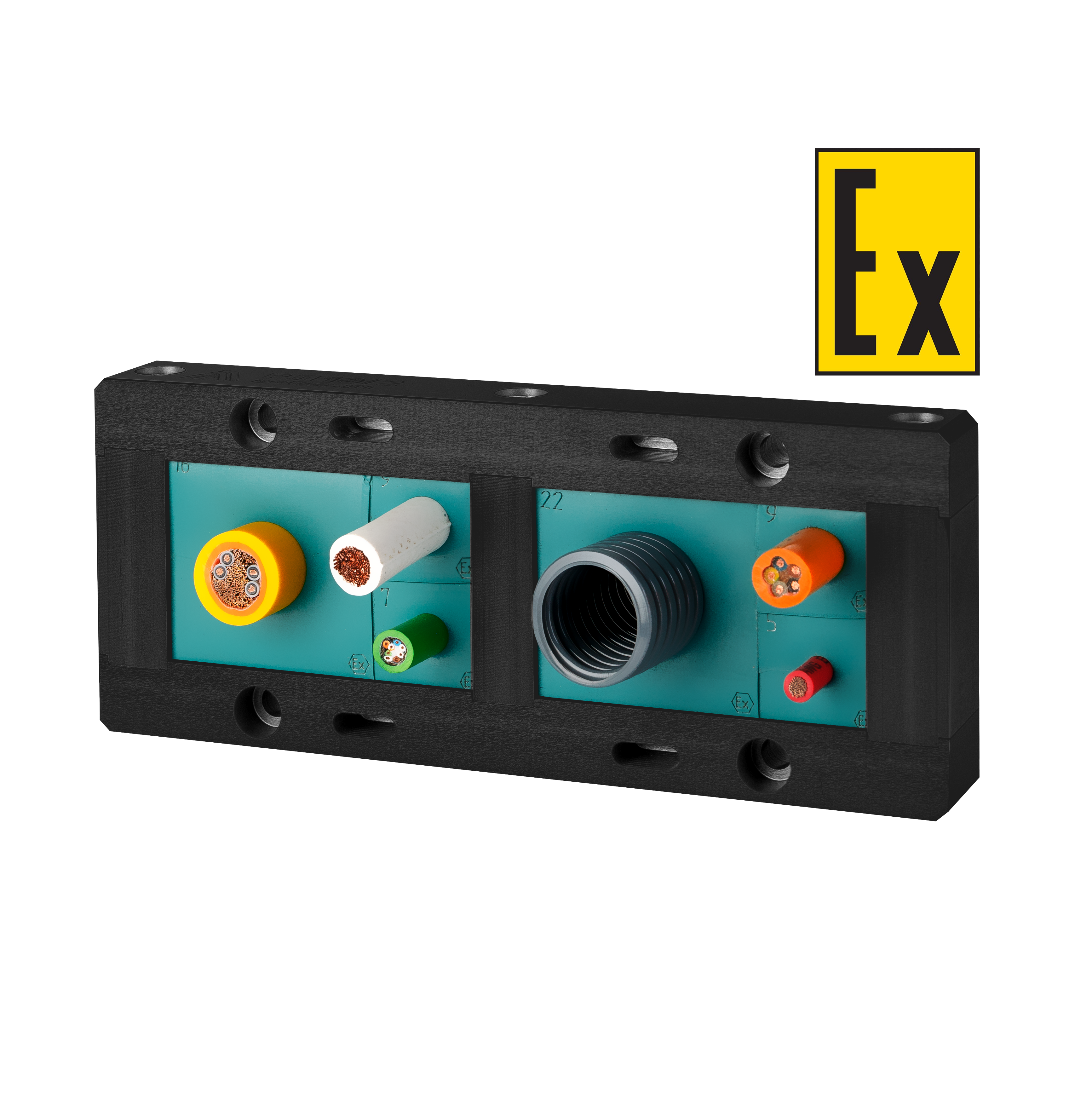 Ex